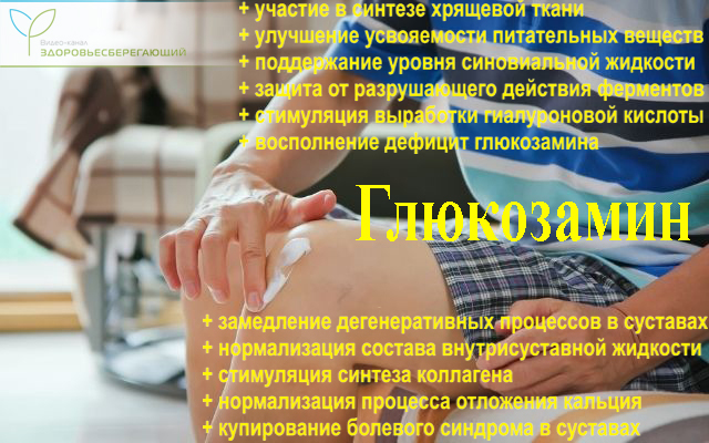 Хондроитин глюкозамин в чем содержится. Смотреть фото Хондроитин глюкозамин в чем содержится. Смотреть картинку Хондроитин глюкозамин в чем содержится. Картинка про Хондроитин глюкозамин в чем содержится. Фото Хондроитин глюкозамин в чем содержится