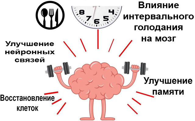 Интервальное голодание схемы для начинающих женщин после 45 лет
