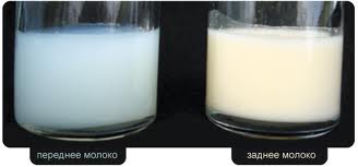 Кормление ребенка грудным молоком