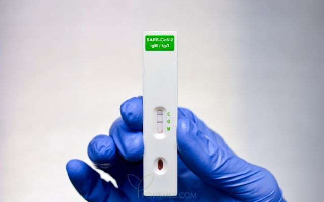 Тест на иммуноглобулины