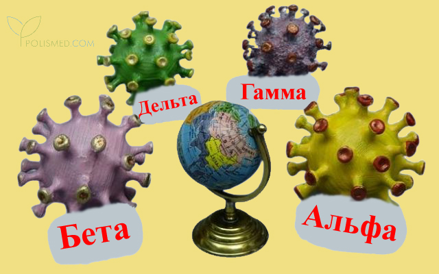 Штаммы вируса