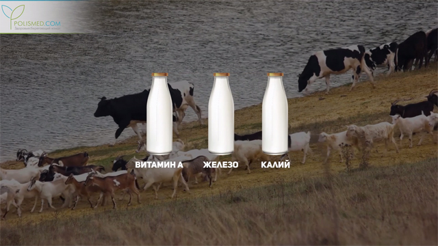 Польза коровьего и козьего молока thumbnail