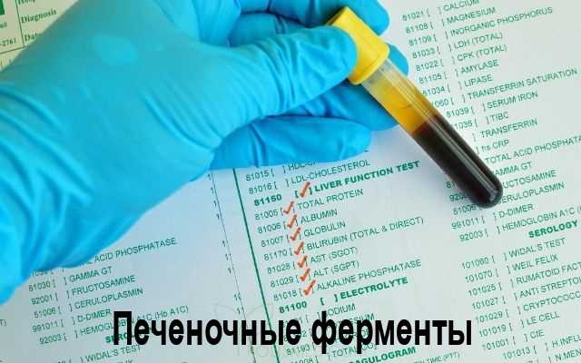 Печеночные ферменты
