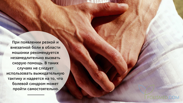 что делать если одно яйцо перекрутилось. Смотреть фото что делать если одно яйцо перекрутилось. Смотреть картинку что делать если одно яйцо перекрутилось. Картинка про что делать если одно яйцо перекрутилось. Фото что делать если одно яйцо перекрутилось
