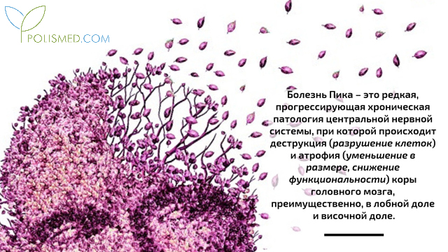 Болезнь Пика