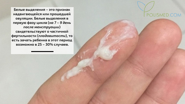 Что значит фертильное окно. Смотреть фото Что значит фертильное окно. Смотреть картинку Что значит фертильное окно. Картинка про Что значит фертильное окно. Фото Что значит фертильное окно