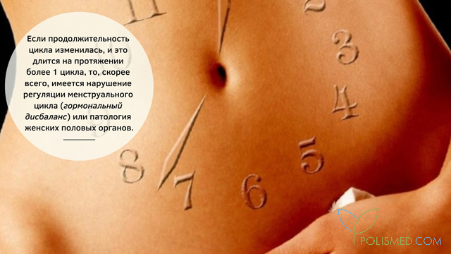 Что значит продолжительность вашего цикла. Смотреть фото Что значит продолжительность вашего цикла. Смотреть картинку Что значит продолжительность вашего цикла. Картинка про Что значит продолжительность вашего цикла. Фото Что значит продолжительность вашего цикла