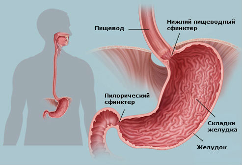 Рефлюкс в желудке лечение