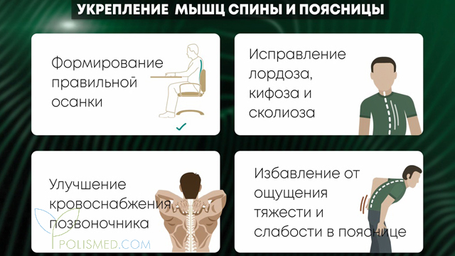 Укрепление мышц спины и поясницы