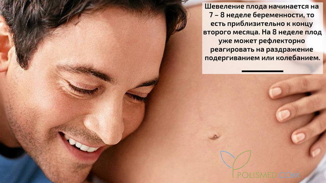 Как понять что ребенок шевелится. Смотреть фото Как понять что ребенок шевелится. Смотреть картинку Как понять что ребенок шевелится. Картинка про Как понять что ребенок шевелится. Фото Как понять что ребенок шевелится