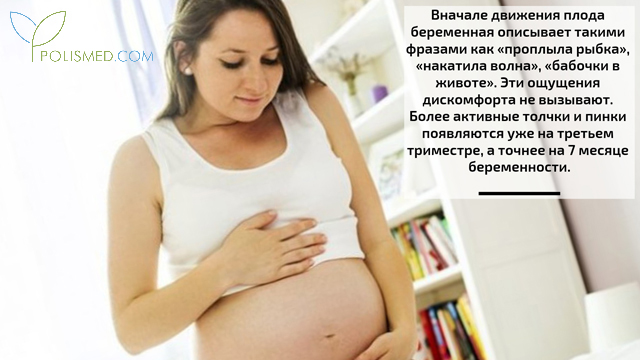 Как понять что ребенок шевелится. Смотреть фото Как понять что ребенок шевелится. Смотреть картинку Как понять что ребенок шевелится. Картинка про Как понять что ребенок шевелится. Фото Как понять что ребенок шевелится