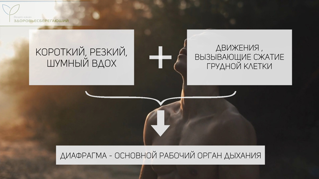Гимнастика Стрельниковой