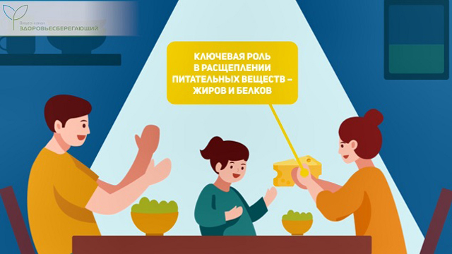 Ключевая роль ферментов