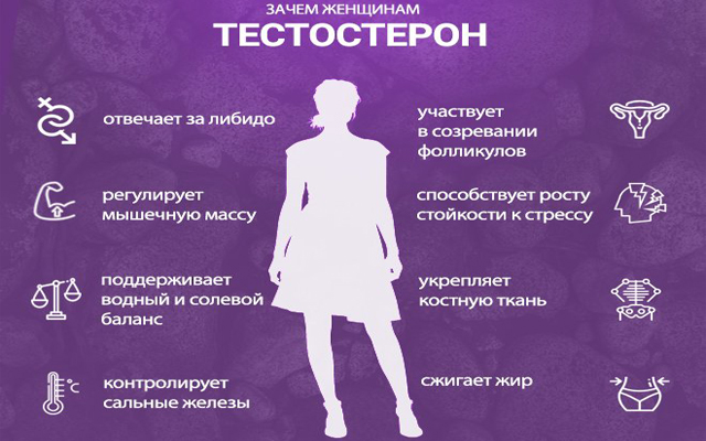 Тестостерон у женщин