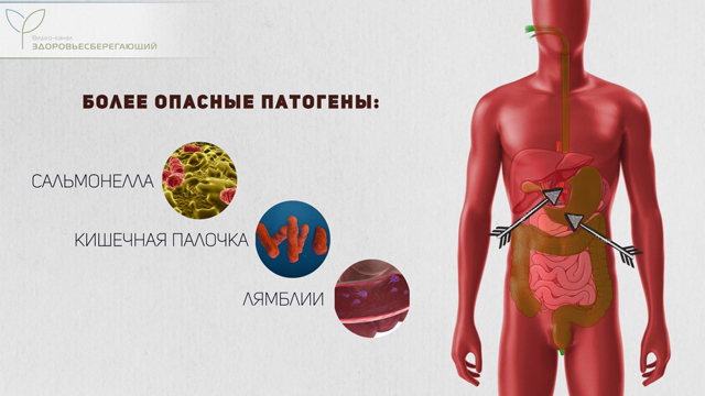 начало рвать просто так. Смотреть фото начало рвать просто так. Смотреть картинку начало рвать просто так. Картинка про начало рвать просто так. Фото начало рвать просто так
