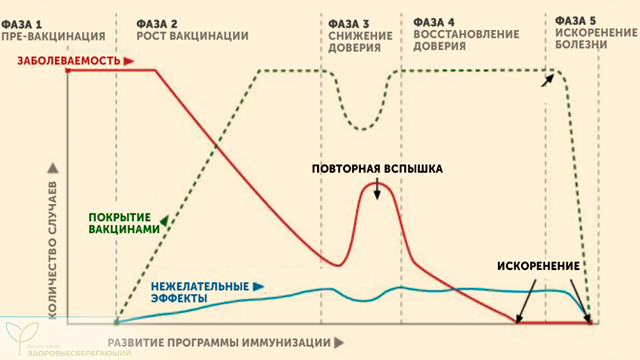 через какое время наступает недомогание после прививки. Смотреть фото через какое время наступает недомогание после прививки. Смотреть картинку через какое время наступает недомогание после прививки. Картинка про через какое время наступает недомогание после прививки. Фото через какое время наступает недомогание после прививки