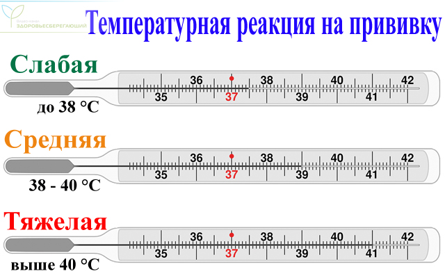 через какое время наступает недомогание после прививки. Смотреть фото через какое время наступает недомогание после прививки. Смотреть картинку через какое время наступает недомогание после прививки. Картинка про через какое время наступает недомогание после прививки. Фото через какое время наступает недомогание после прививки