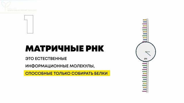 вакцина содержит генетический код. vack9. вакцина содержит генетический код фото. вакцина содержит генетический код-vack9. картинка вакцина содержит генетический код. картинка vack9. Любая прививка должна выполнять задачу формирования иммунитета для борьбы с опасной инфекцией. Однако если раньше вакцины состояли из мертвых или ослабленных микроорганизмов, то самые новые противовирусные вакцины – это сложные продукты генной инженерии.