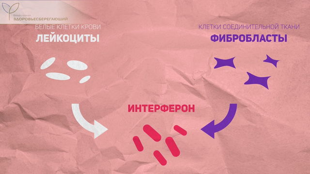 Интерферон