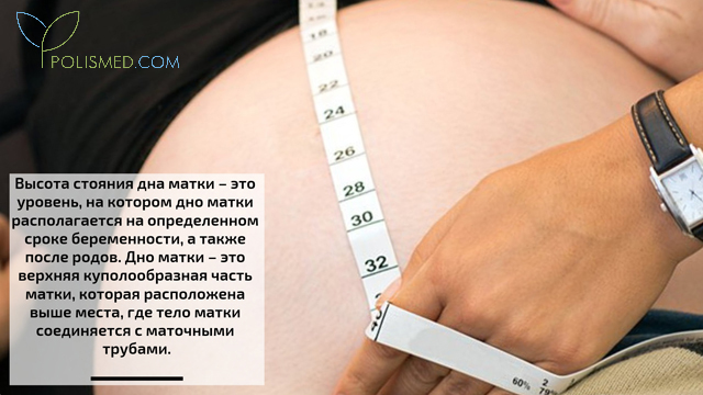 Дно матки после родов. Измерение высоты стояния дна матки. Измерение окружности живота и высоты стояния дна матки. ВДМ высота стояния дна матки. ВДМ как измерить.