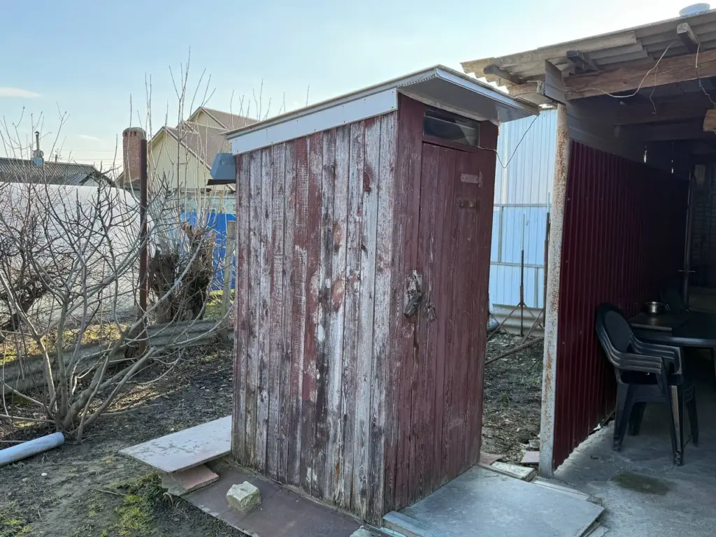 В дачном туалете всегда свежо ароматизирует: бросаю ботву этого овоща с грядки — никакой вони и мух