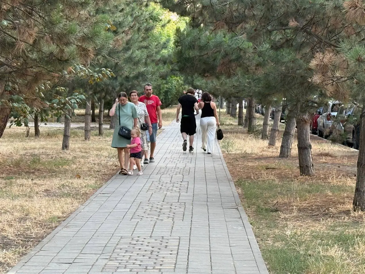 Одна фраза — и взрослые отпрыски станут ценить вас больше: совет мудрых родителей
